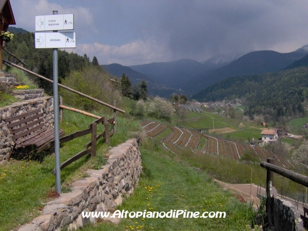 Strada di collegamento tra Sternigo e Rizzolaga [fotopercorsi/strada_sternigo-rizzolaga_7.jpg]