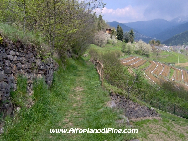 Strada di collegamento tra Sternigo e Rizzolaga [fotopercorsi/strada_sternigo-rizzolaga_8.jpg]